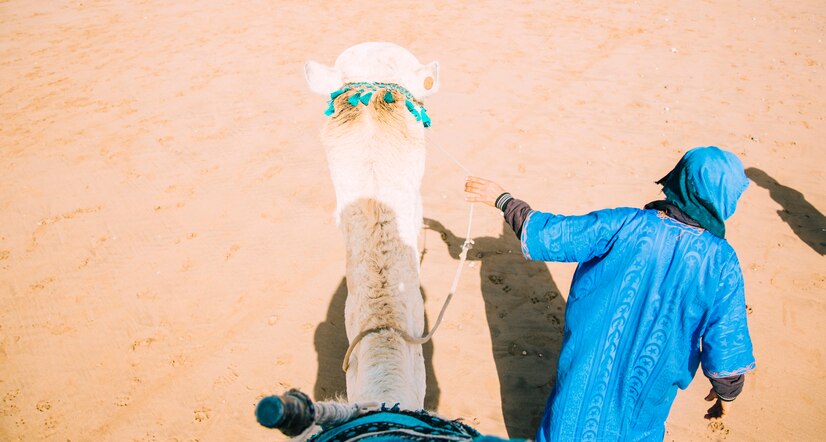 camel-desert-landscape-morocco_23-2148129822